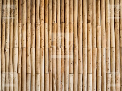 Bambu Çit
