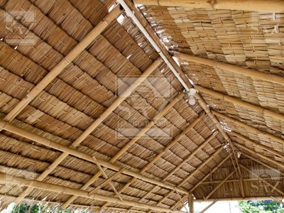 Bambu Çatı