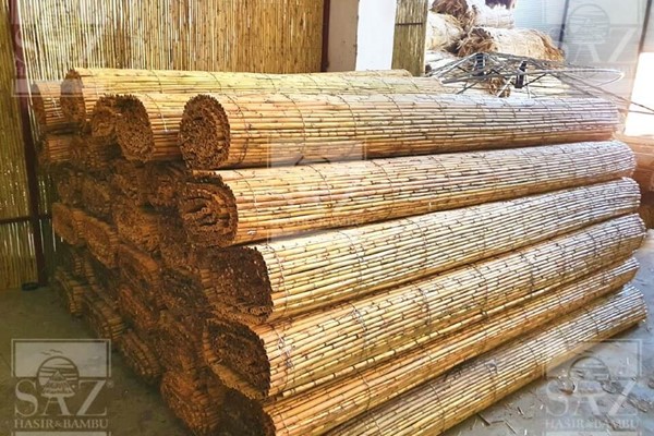 Bambu Kamış 