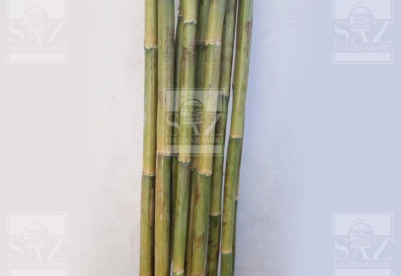 Bambu Kamış