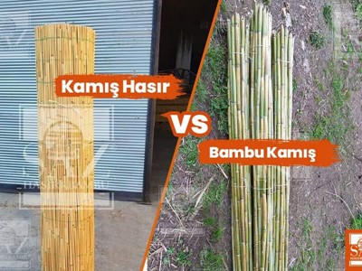 Bambu Kamış VS. Kamış Hasır
