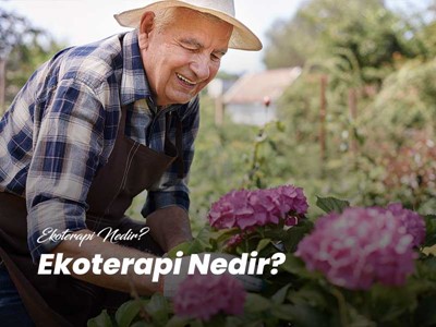 Ekoterapi Nedir?