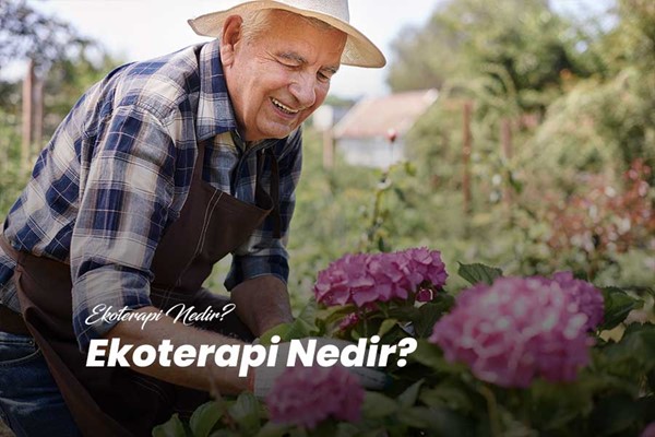 Ekoterapi Nedir?