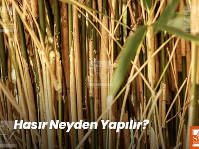 Hasır Neyden Yapılır?