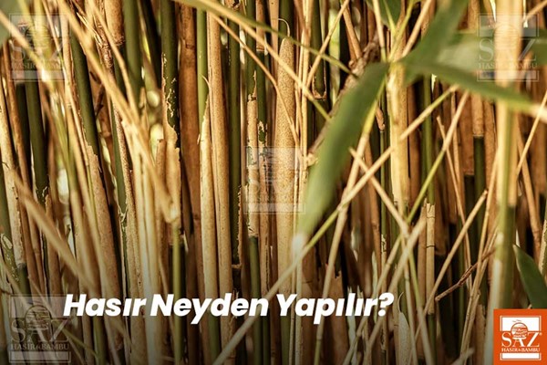 Hasır Neyden Yapılır?
