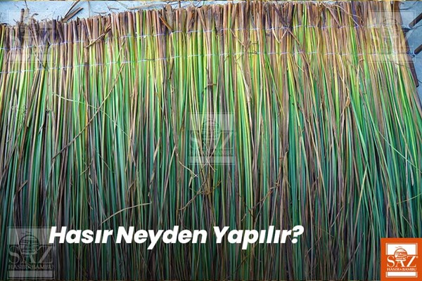 Hasır Neyden Yapılır?