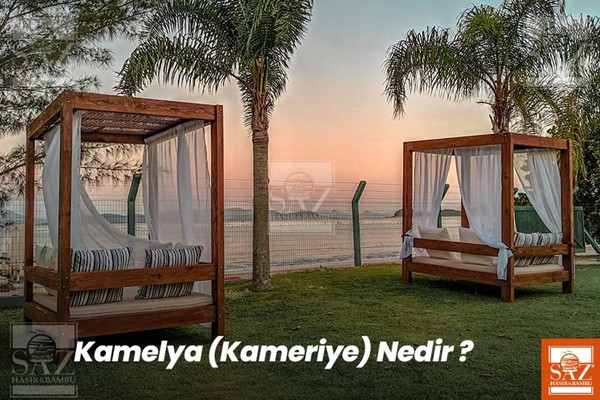 Kamelya-Kameriye nedir?