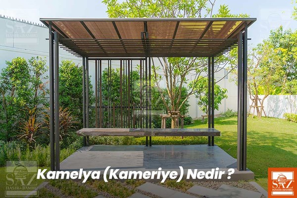 Kamelya-Kameriye nedir?