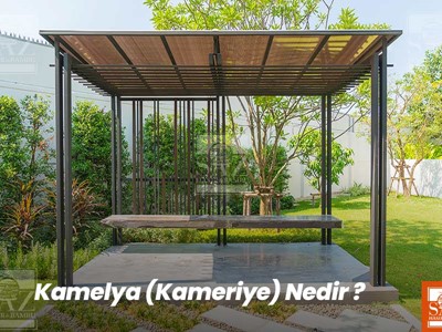 Kamelya Nedir? 